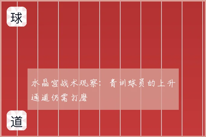 水晶宫战术观察：青训球员的上升通道仍需打磨